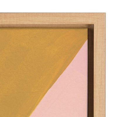 Sylvie Teotitlan Valley Study 2 Framed Canvas by kateandlaurel - product image 3 for Resin Society