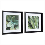Calter Succulent Leaves Framed Print Art Set by Amy Peterson by kateandlaurel - product image 2 for Resin Society