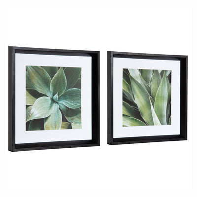 Calter Succulent Leaves Framed Print Art Set by Amy Peterson by kateandlaurel - product image 2 for Resin Society