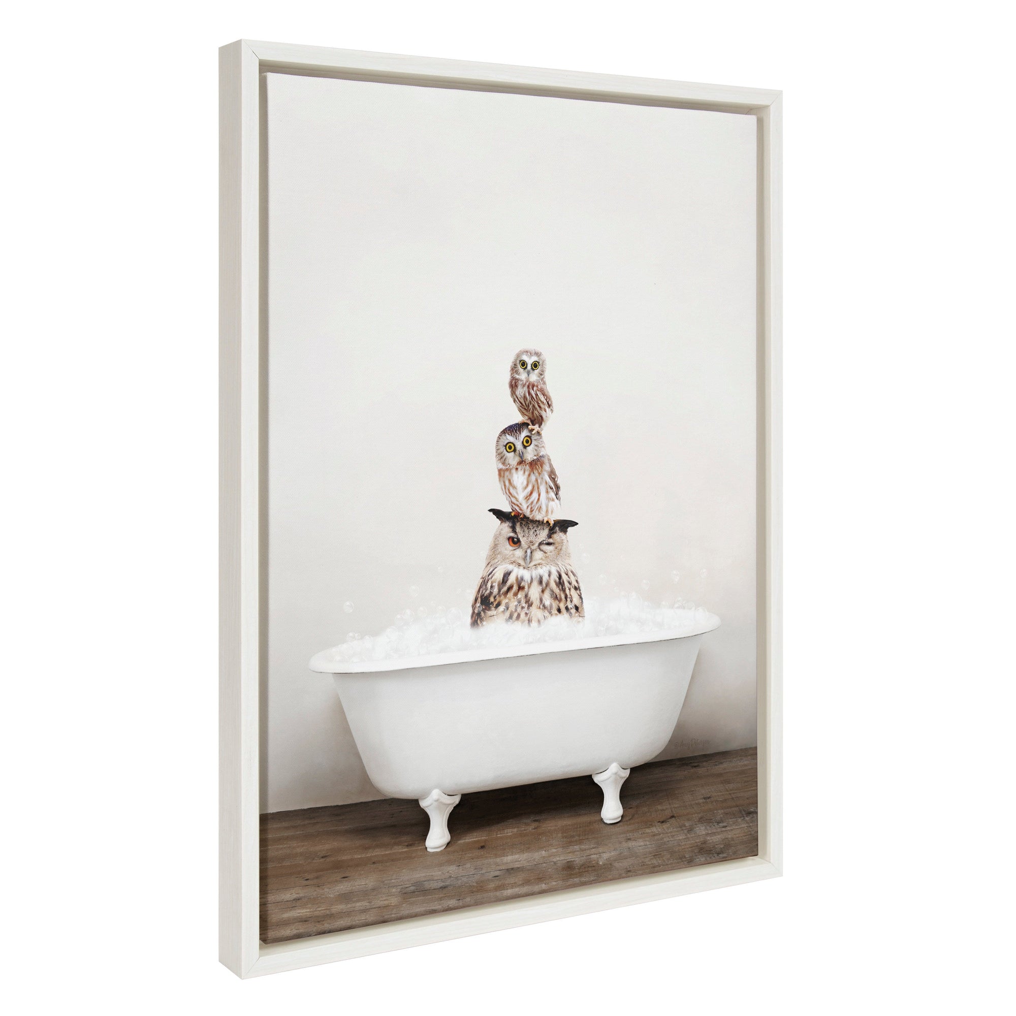 Sylvie Stacked Owls in Rustic Bath Framed Canvas by kateandlaurel - main product image for Resin Society