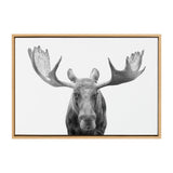 Black and white photograph of a moose facing forward with large, broad antlers, displayed in a simple natural wood frame.