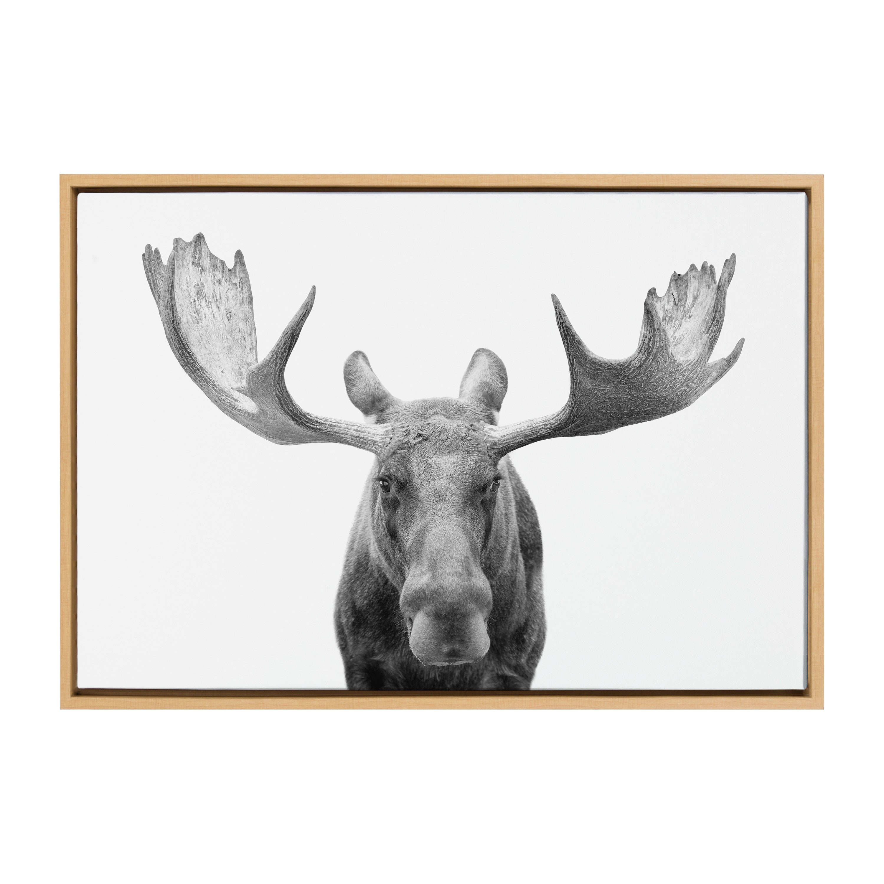Sylvie Moose Black and White Framed Canvas by Amy Peterson Art Studio