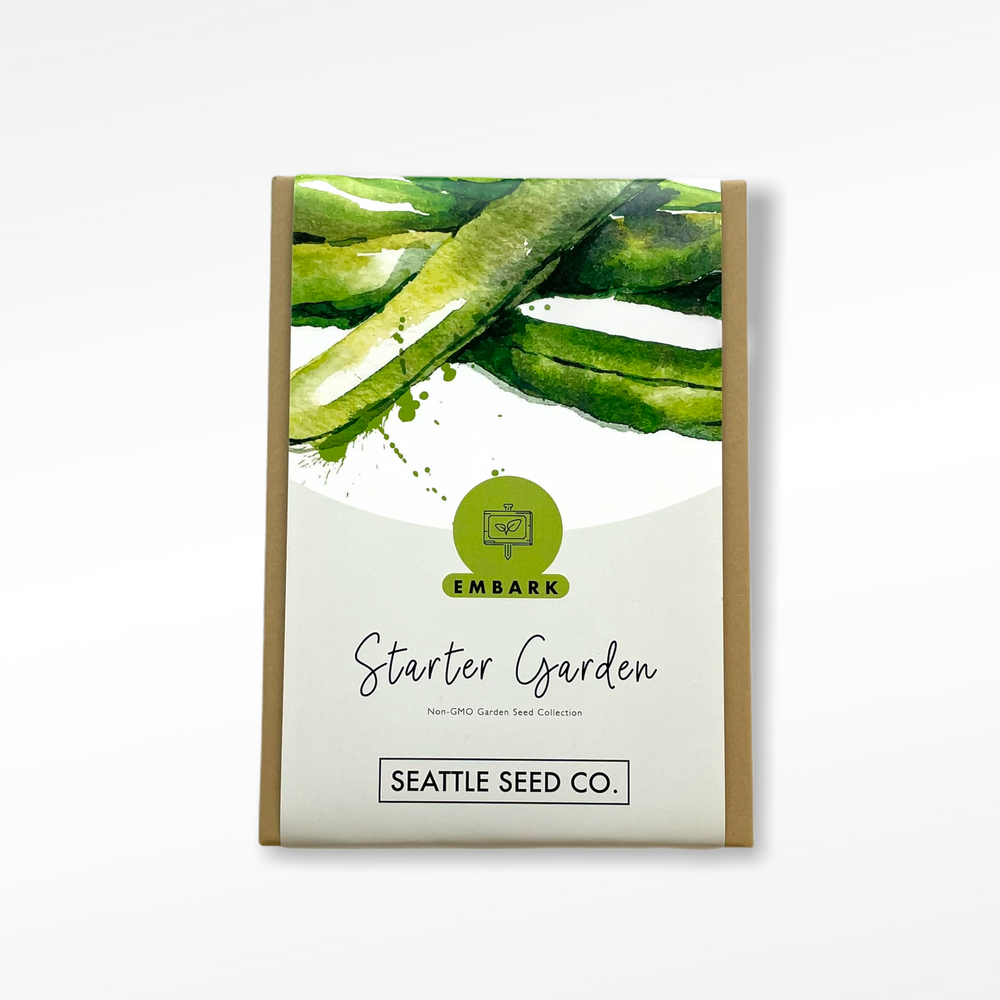 Seed Collection - Starter Garden box with five seed packets and recipe cards