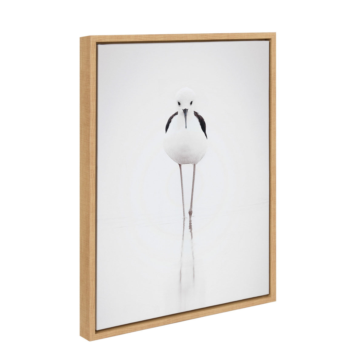 Sylvie Seagull Framed Canvas by Tai Prints by kateandlaurel - main product image for Resin Society