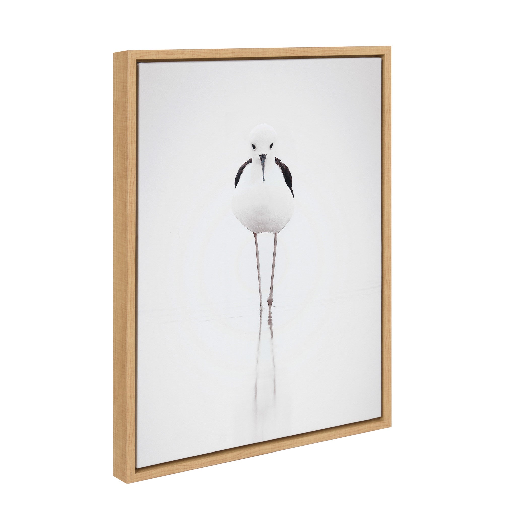 Sylvie Seagull Framed Canvas by Tai Prints by kateandlaurel - main product image for Resin Society