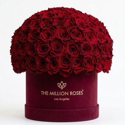 Supreme Bordeaux Suede Superdome Box by The Million Roses - main product image for Resin Society