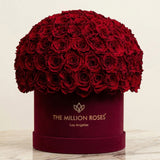 Supreme Bordeaux Suede Superdome Box by The Million Roses - product image 2 for Resin Society
