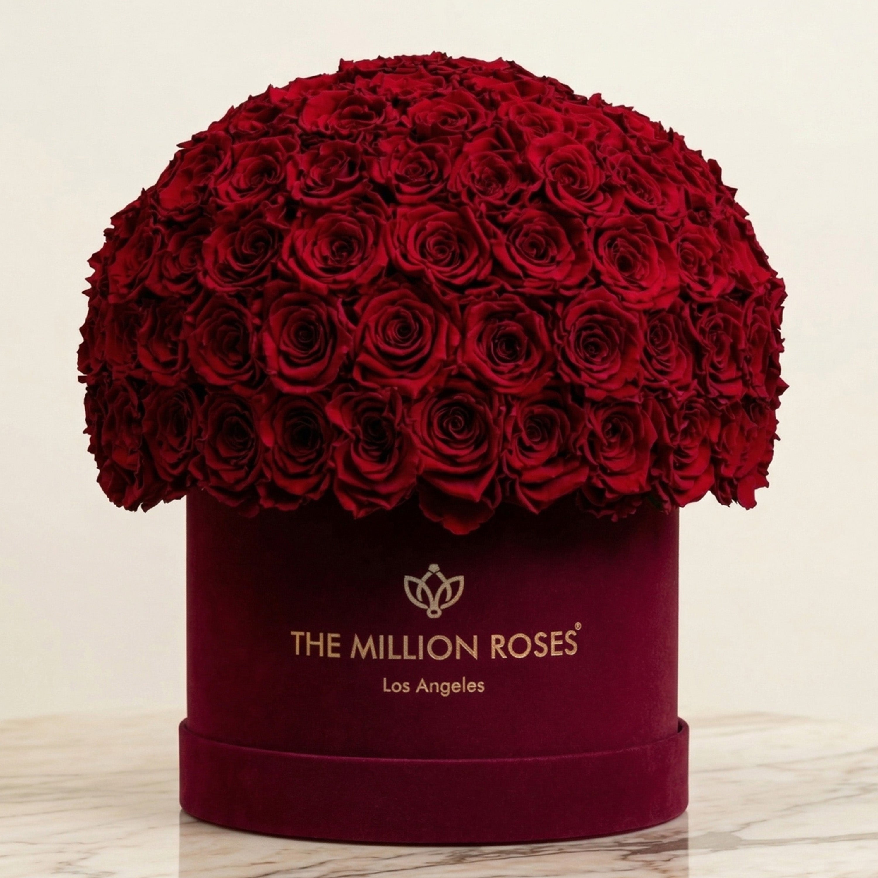 Supreme Bordeaux Suede Superdome Box by The Million Roses - product image 2 for Resin Society