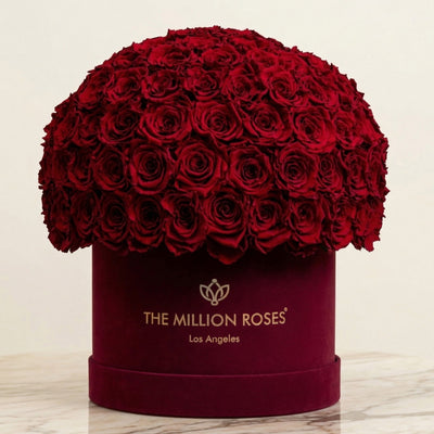 Supreme Bordeaux Suede Superdome Box by The Million Roses - product image 2 for Resin Society