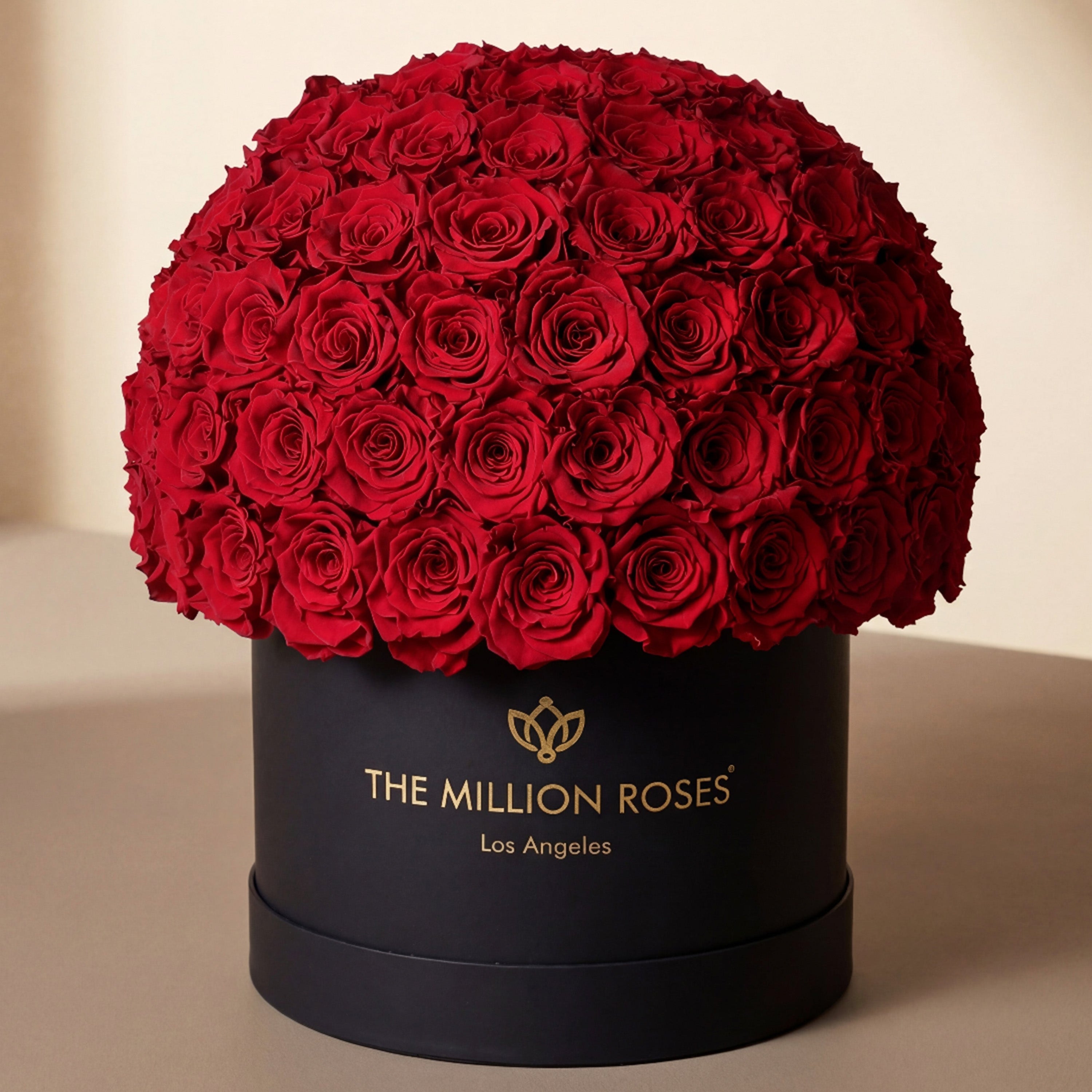 Supreme Black Superdome Box by The Million Roses - product image 2 for Resin Society
