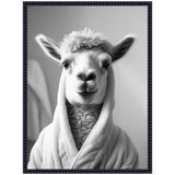 Black and white photograph of a llama wearing a soft, textured bathrobe, looking directly forward with a neutral gray background.