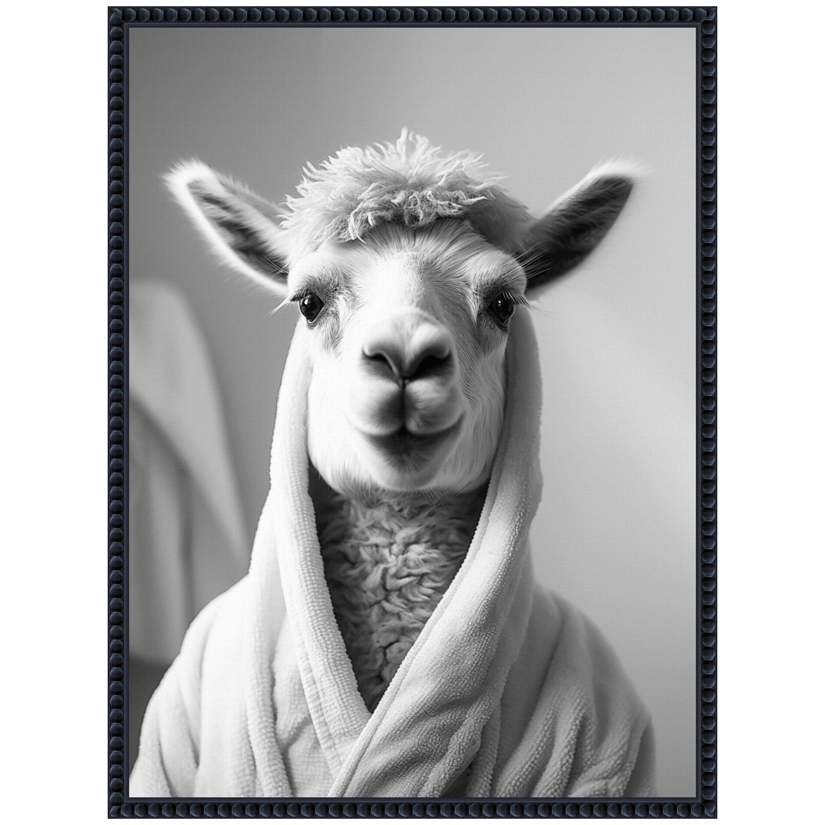 Black and white photograph of a llama wearing a soft, textured bathrobe, looking directly forward with a neutral gray background.