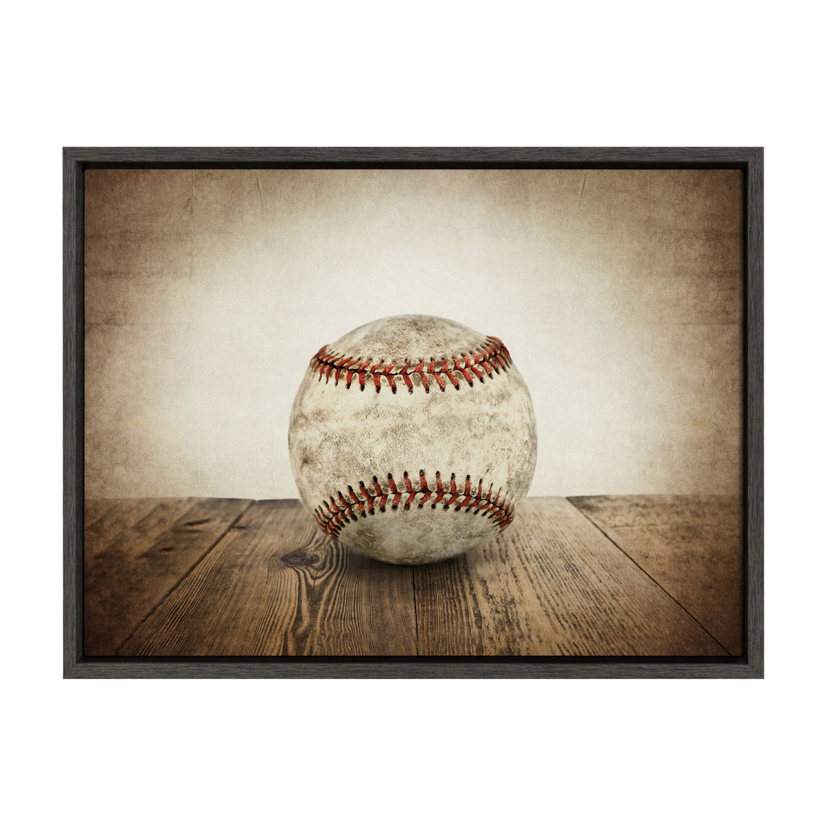 Sylvie Vintage Baseball Framed Canvas by kateandlaurel - main product image for Resin Society