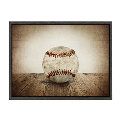 Sylvie Vintage Baseball Framed Canvas by kateandlaurel - product image 9 for Resin Society