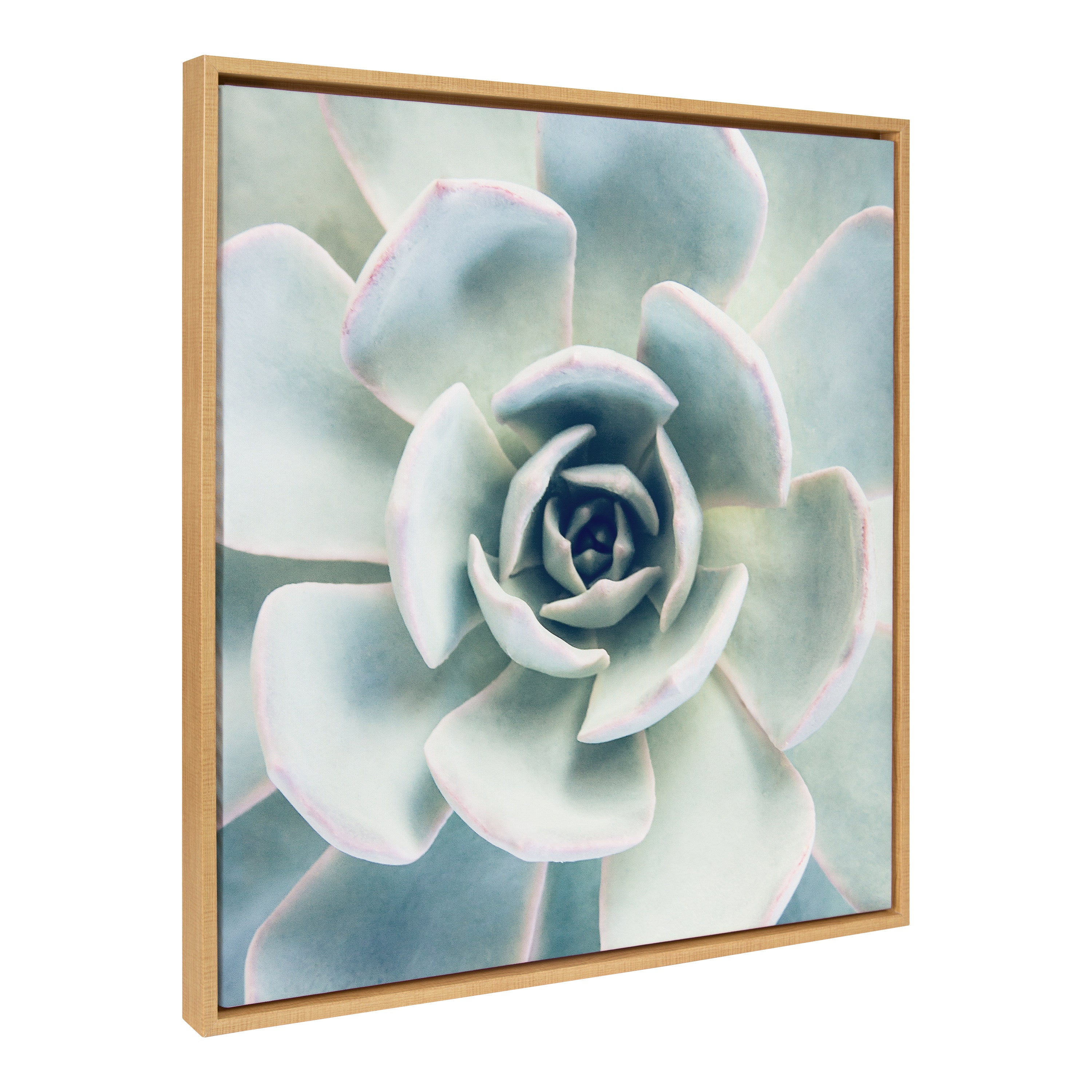 Sylvie Succulent 7 Framed Canvas by kateandlaurel - product image 7 for Resin Society