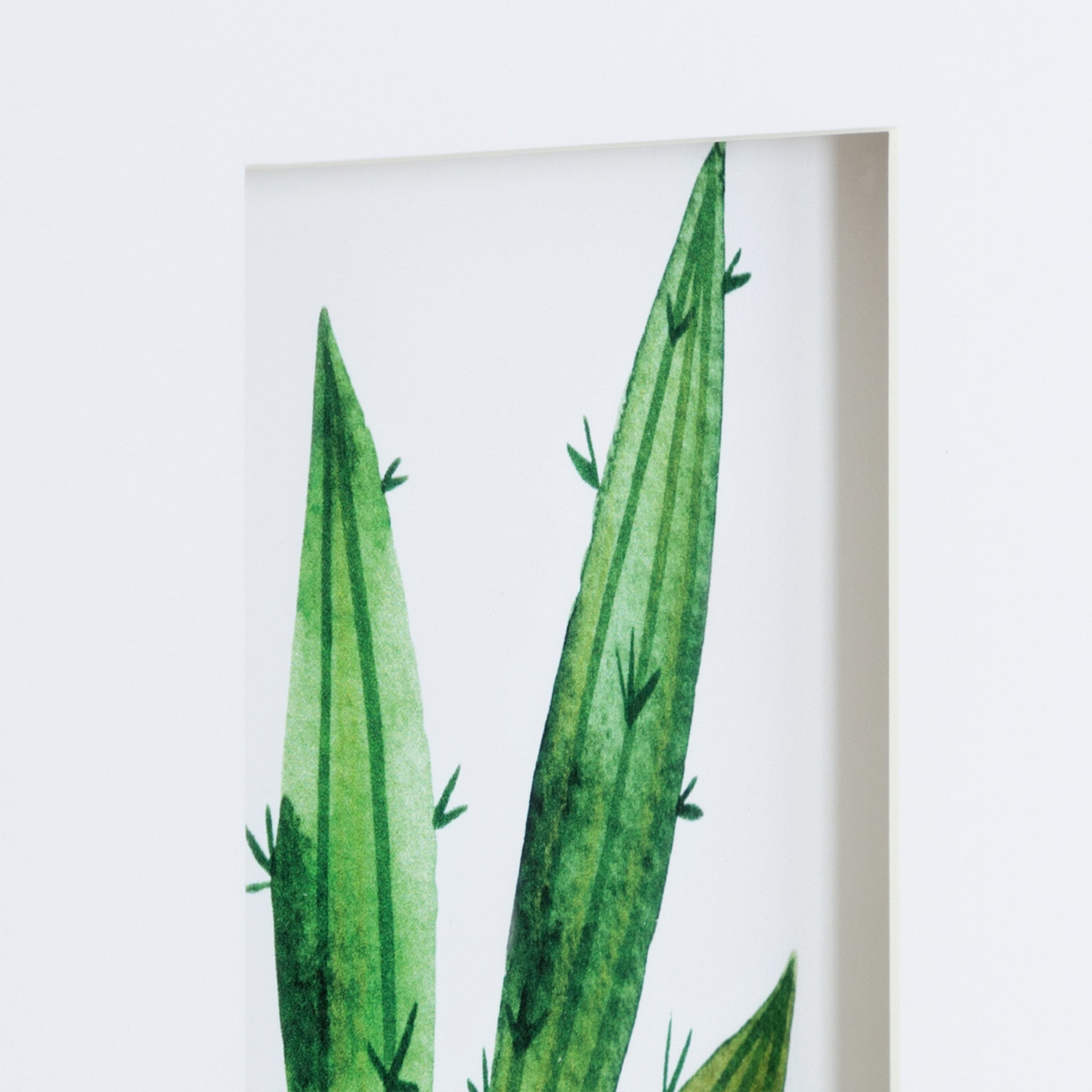 Liev Succulent Framed Print Art Set by kateandlaurel - product image 6 for Resin Society