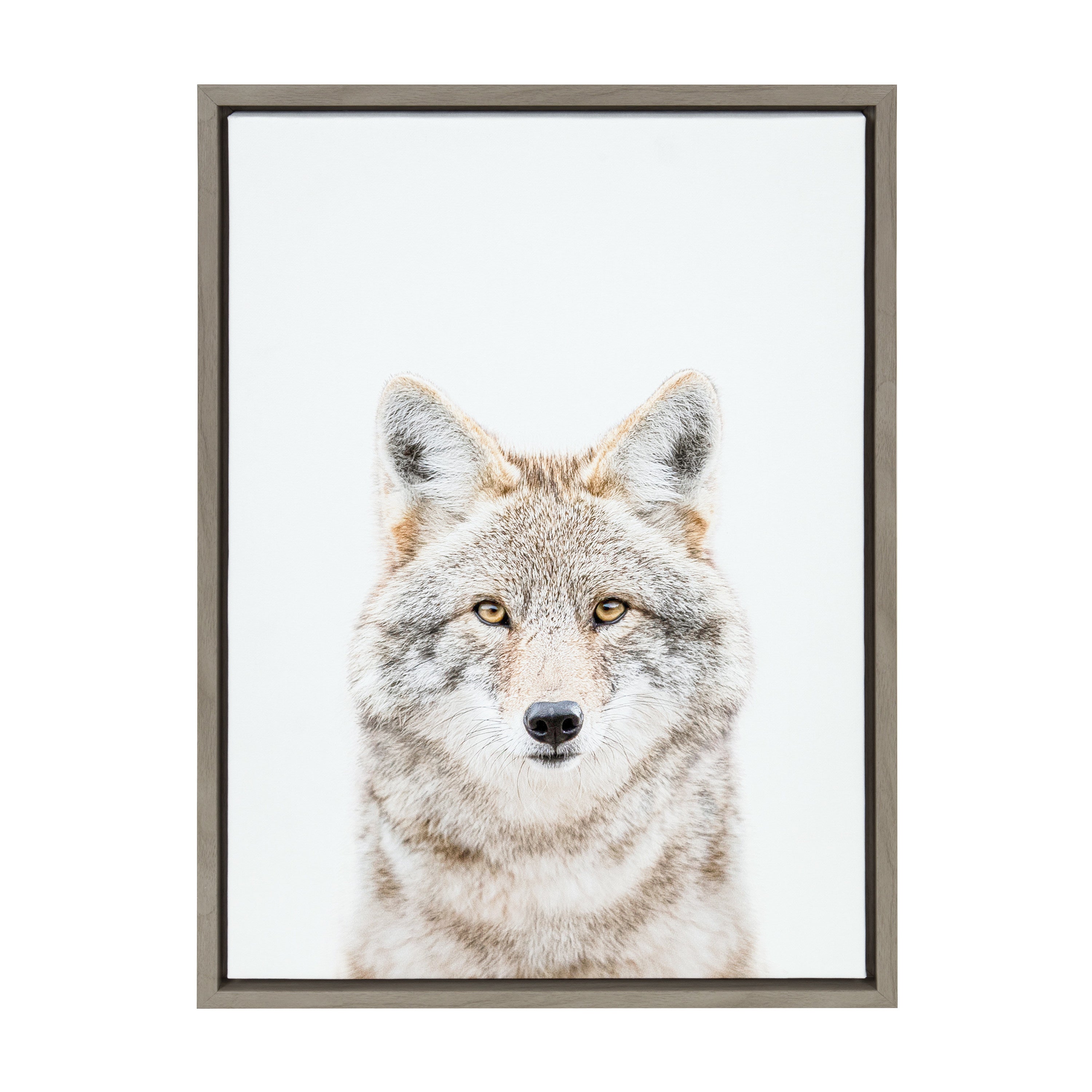 Sylvie Wolf Portrait Framed Canvas by Amy Peterson Art Studio