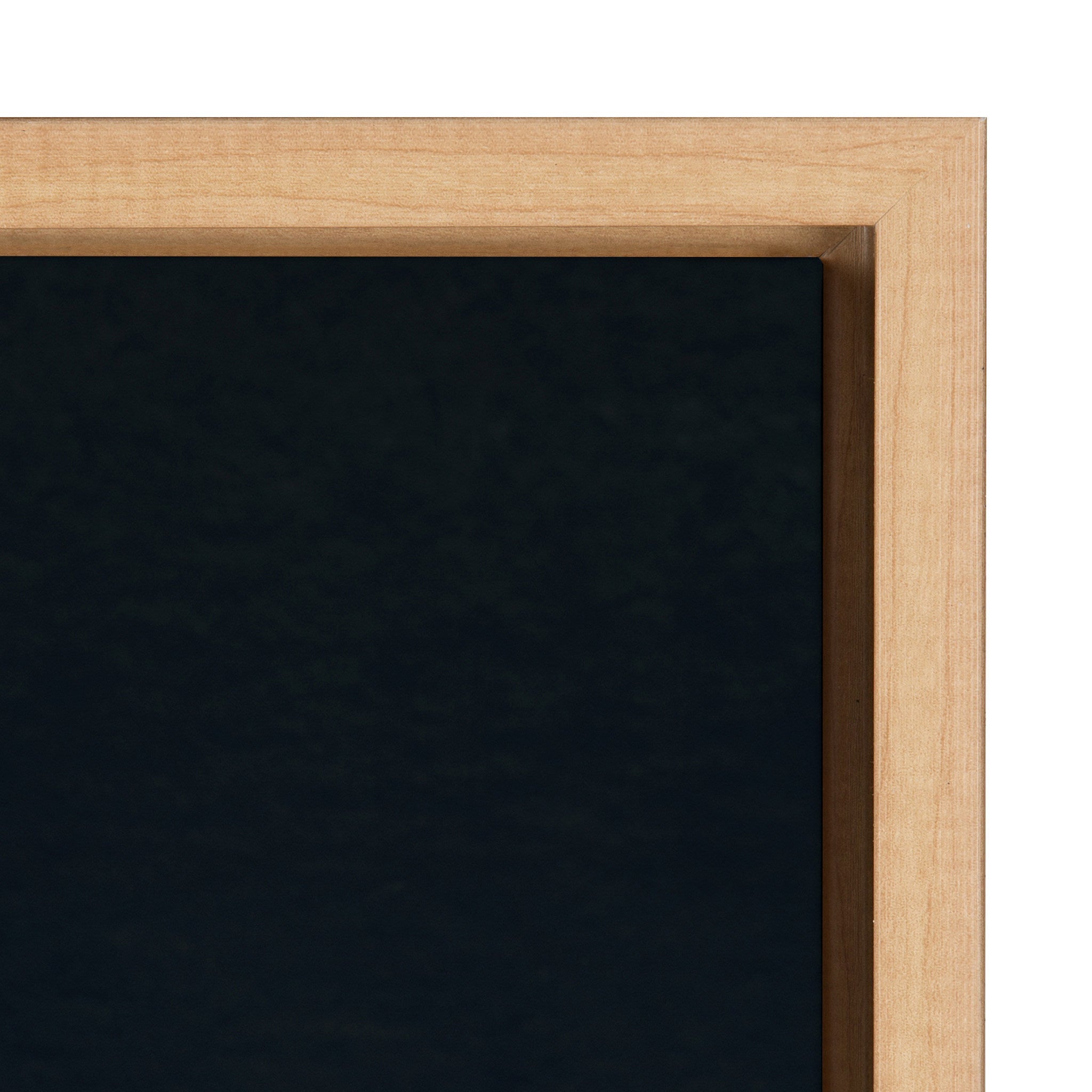 Sylvie Succulent 13 Framed Canvas by kateandlaurel - product image 3 for Resin Society