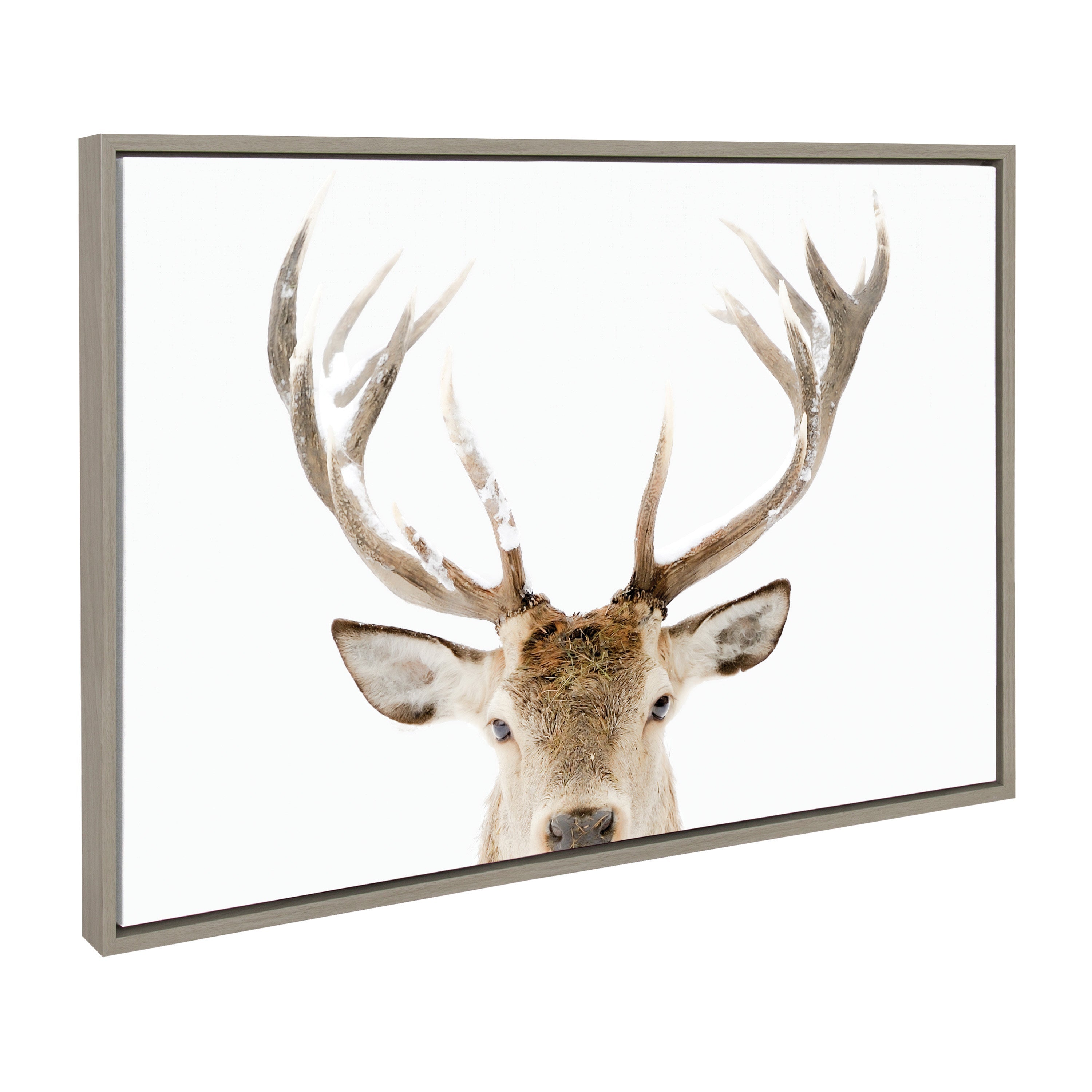 Sylvie Stag Peekaboo Framed Canvas depicting a deer in snowy forest setting