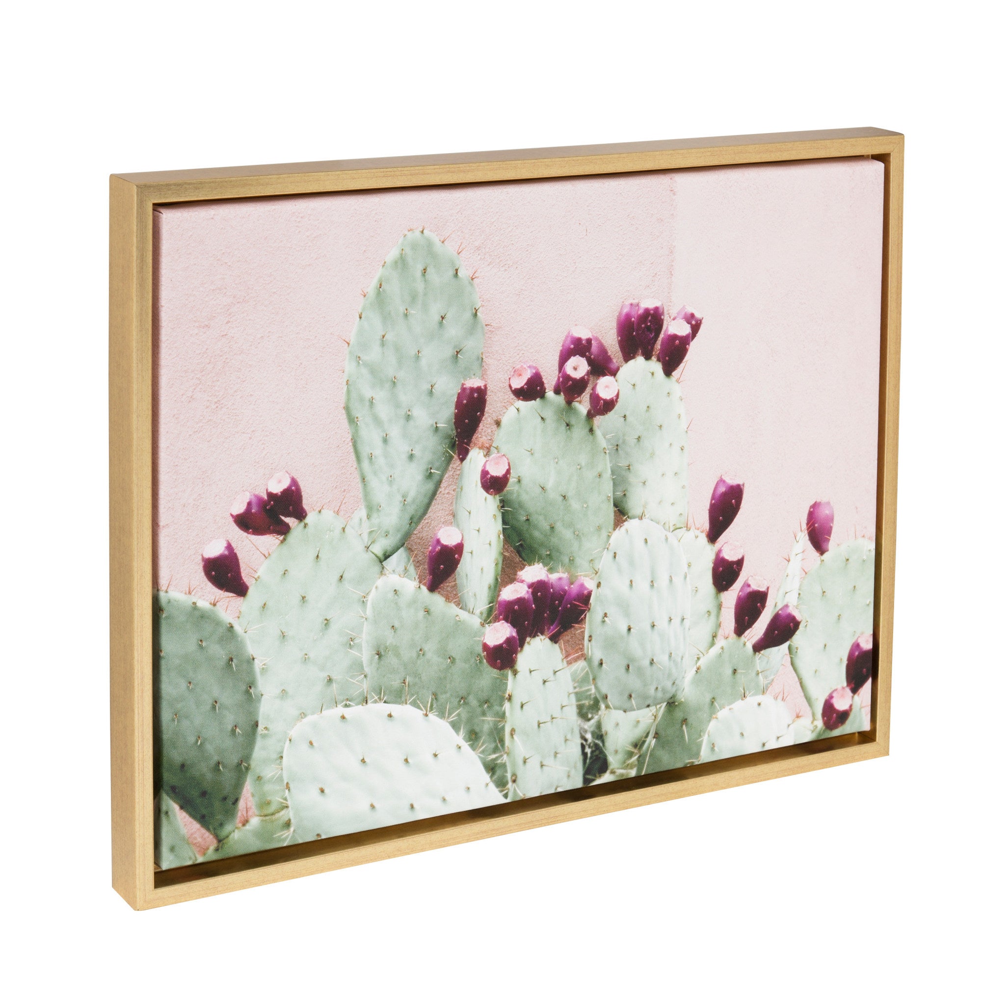 Sylvie Cactus 25 Framed Canvas by Amy Peterson by kateandlaurel - product image 2 for Resin Society