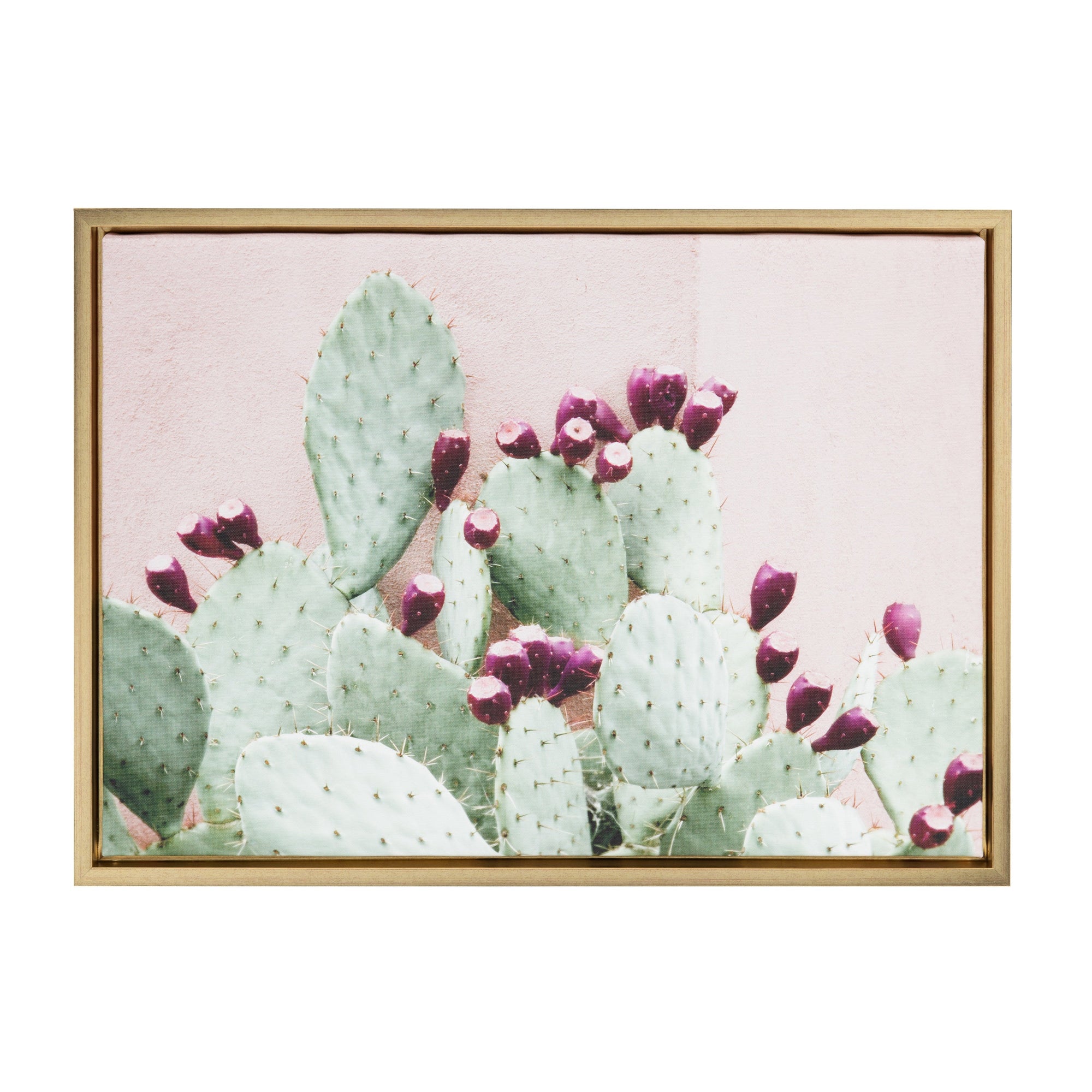 Sylvie Cactus 25 Framed Canvas by Amy Peterson by kateandlaurel - product image 7 for Resin Society