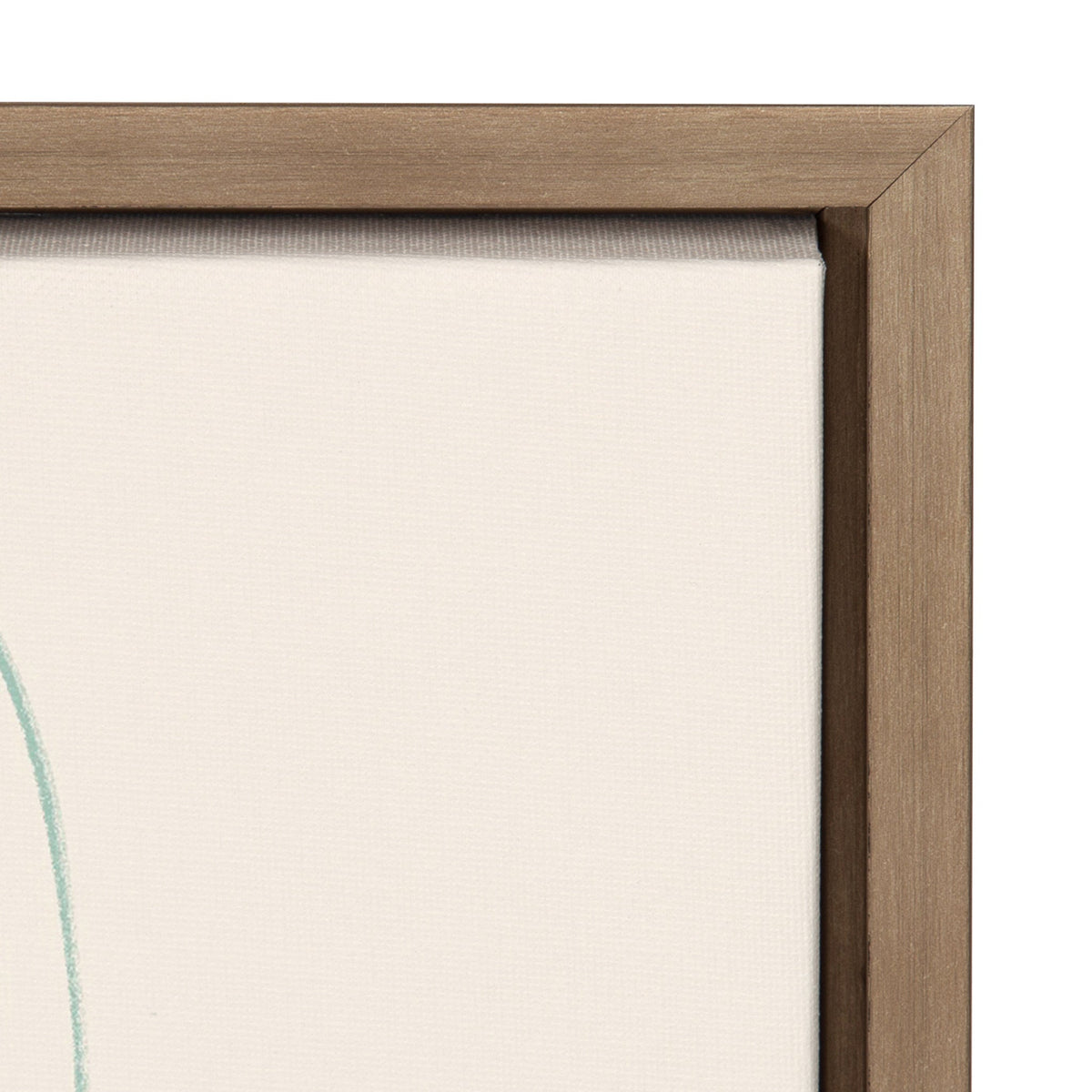 Sylvie Lotus Garden Framed Canvas by kateandlaurel - product image 3 for Resin Society