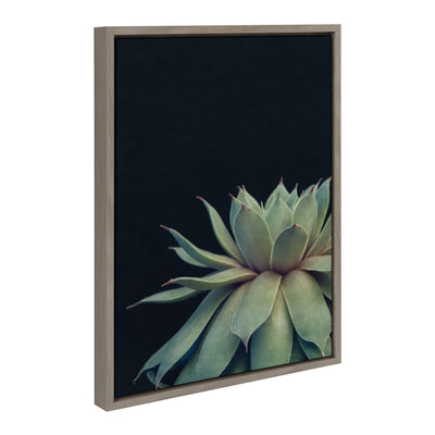 Sylvie Succulent Framed Canvas by F2 Images by kateandlaurel - product image 11 for Resin Society