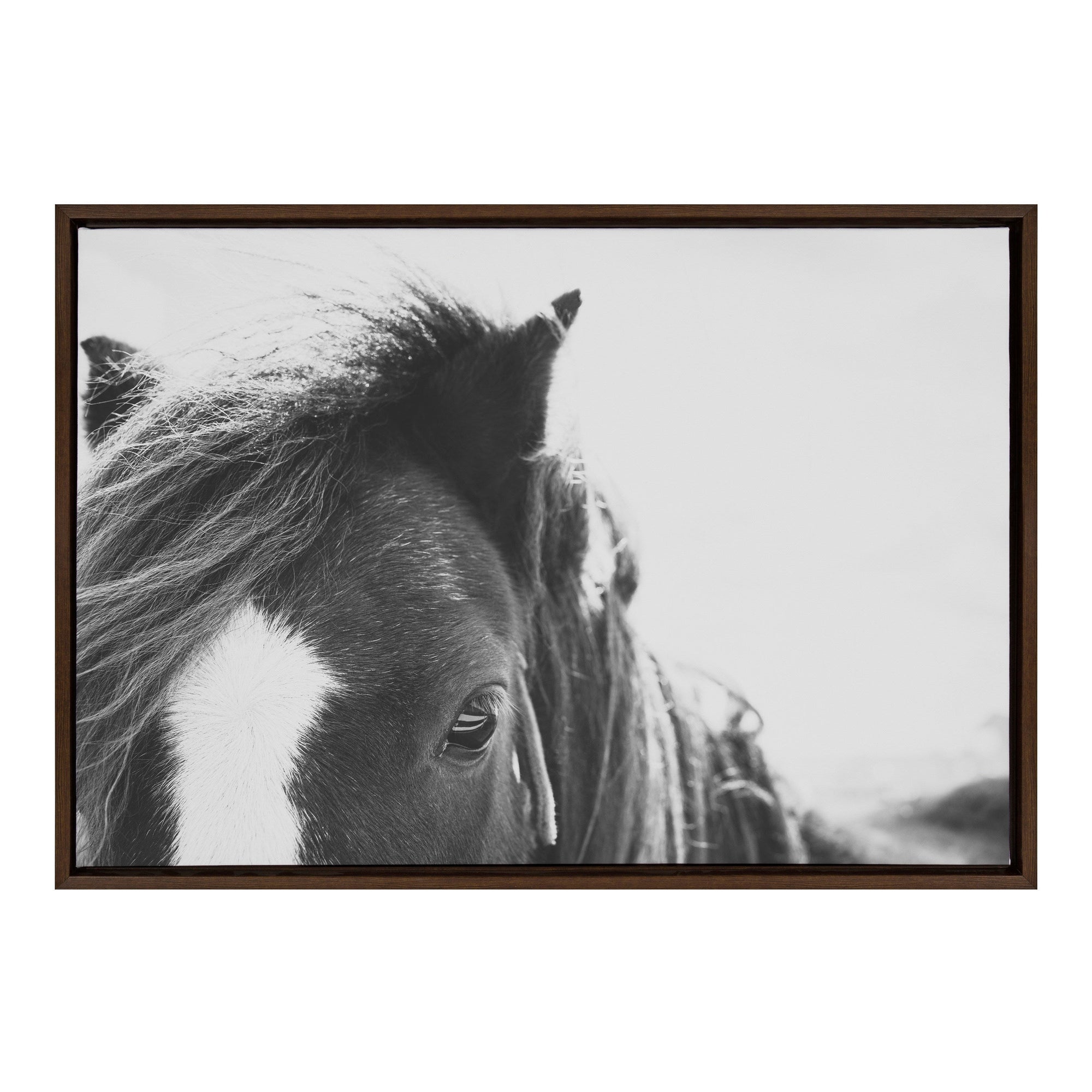 Sylvie Noble BW Framed Canvas by kateandlaurel - main product image for Resin Society