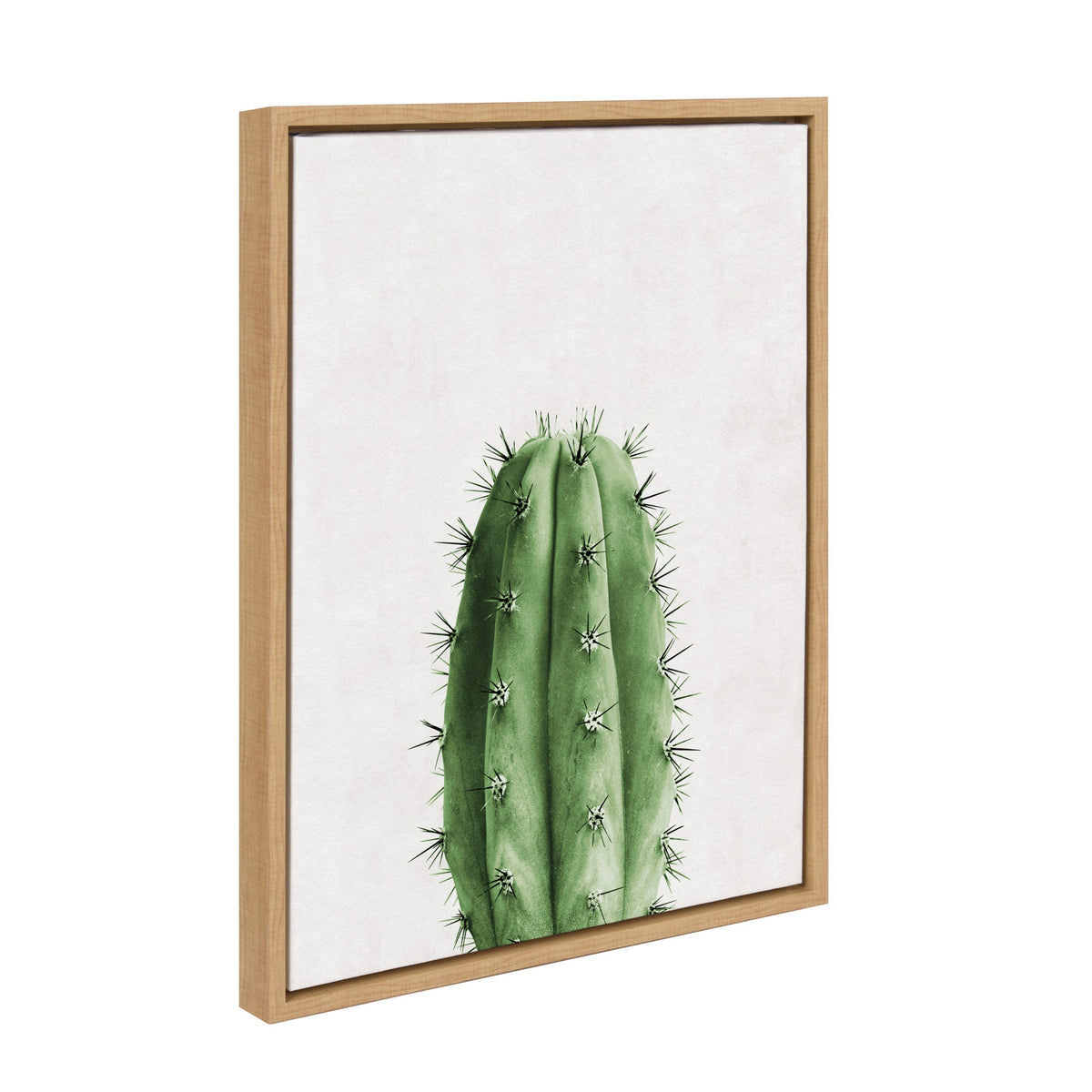 Sylvie Home Cactus Framed Canvas by Simon Te Tai by kateandlaurel - product image 2 for Resin Society