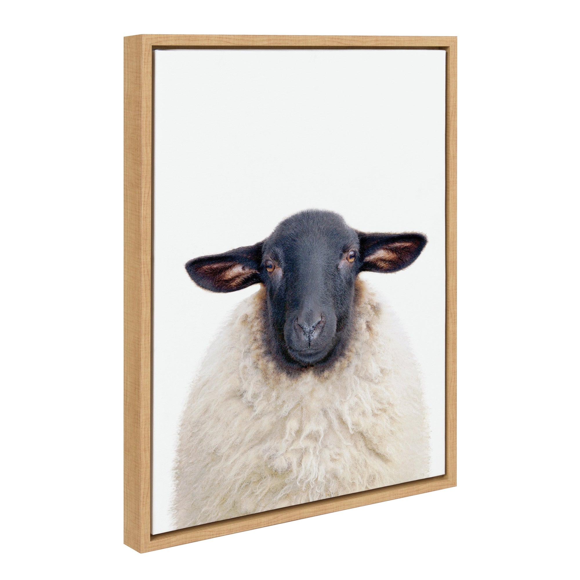 Framed canvas art featuring Sylvie Dorper Sheep by Amy Peterson Art Studio