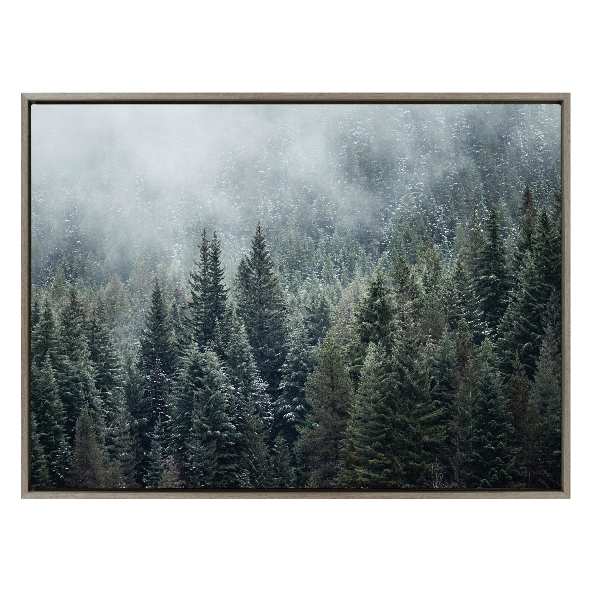 Sylvie Evergreen Dream 2 Framed Canvas by Emiko and Mark Franzen of F2Images