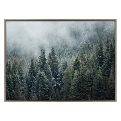 Sylvie Evergreen Dream 2 Framed Canvas by Emiko and Mark Franzen of F2Images