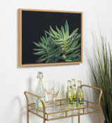 Sylvie Succulent 13 Framed Canvas by kateandlaurel - product image 5 for Resin Society