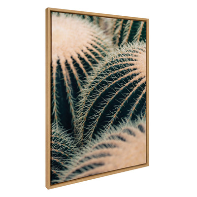 Sylvie Barrel Cactus Framed Canvas by Alicia Bock