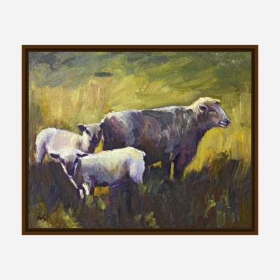 Three Sheep Artist Enhanced Canvas Print by John Beard Collection - product image 7 for Resin Society