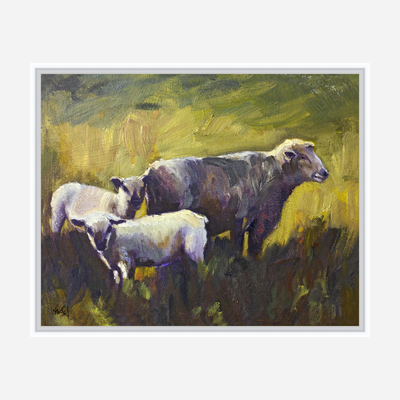 Three Sheep Artist Enhanced Canvas Print by John Beard Collection - product image 6 for Resin Society