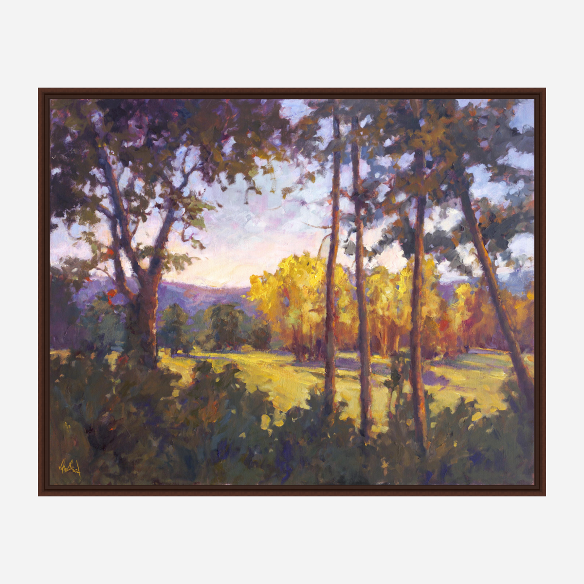Through the Trees Artist Enhanced Canvas Print by John Beard Collection - product image 7 for Resin Society