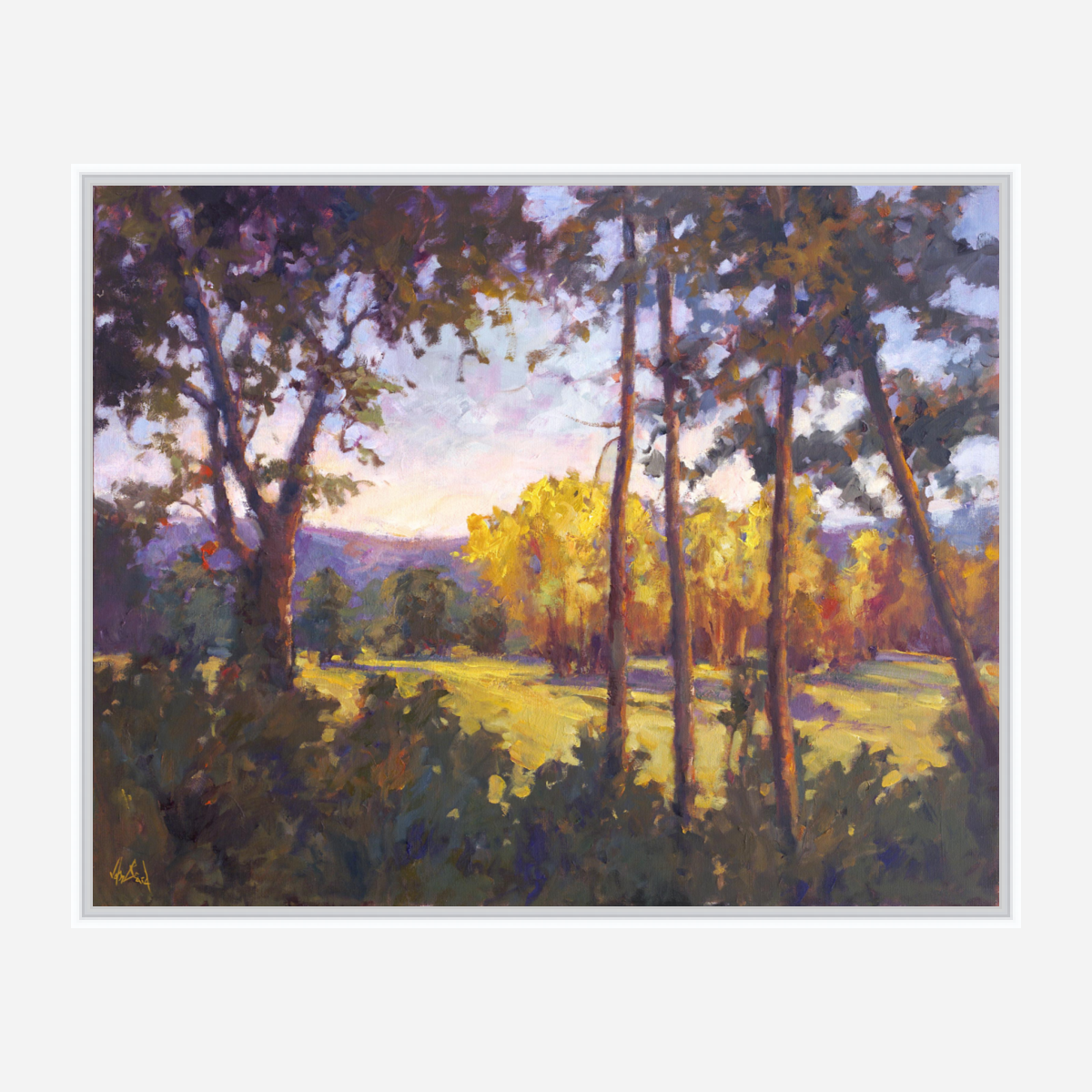 Through the Trees Artist Enhanced Canvas Print by John Beard Collection - product image 6 for Resin Society