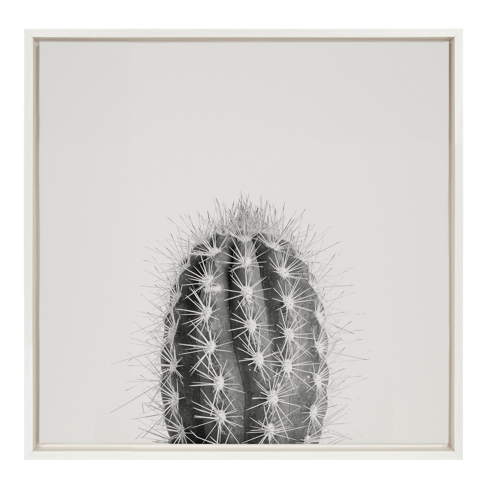 Sylvie Haze Cactus Succulent Tall Framed Canvas by kateandlaurel - main product image for Resin Society