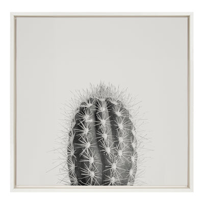 Sylvie Haze Cactus Succulent Tall Framed Canvas by kateandlaurel - main product image for Resin Society