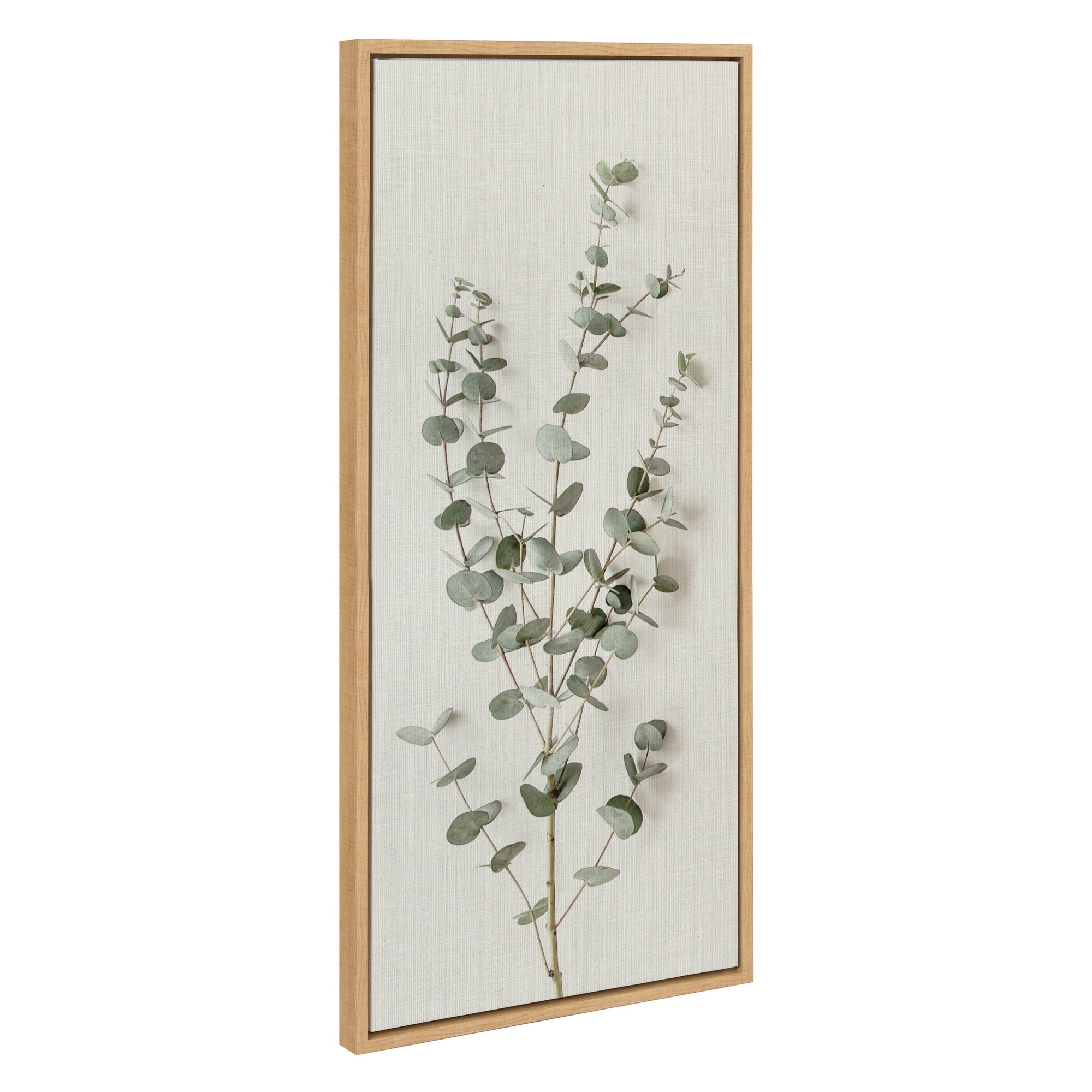 Sylvie Eucalyptus Botanical I Framed Canvas by The Creative Bunch Studio by kateandlaurel - main product image for Resin Society
