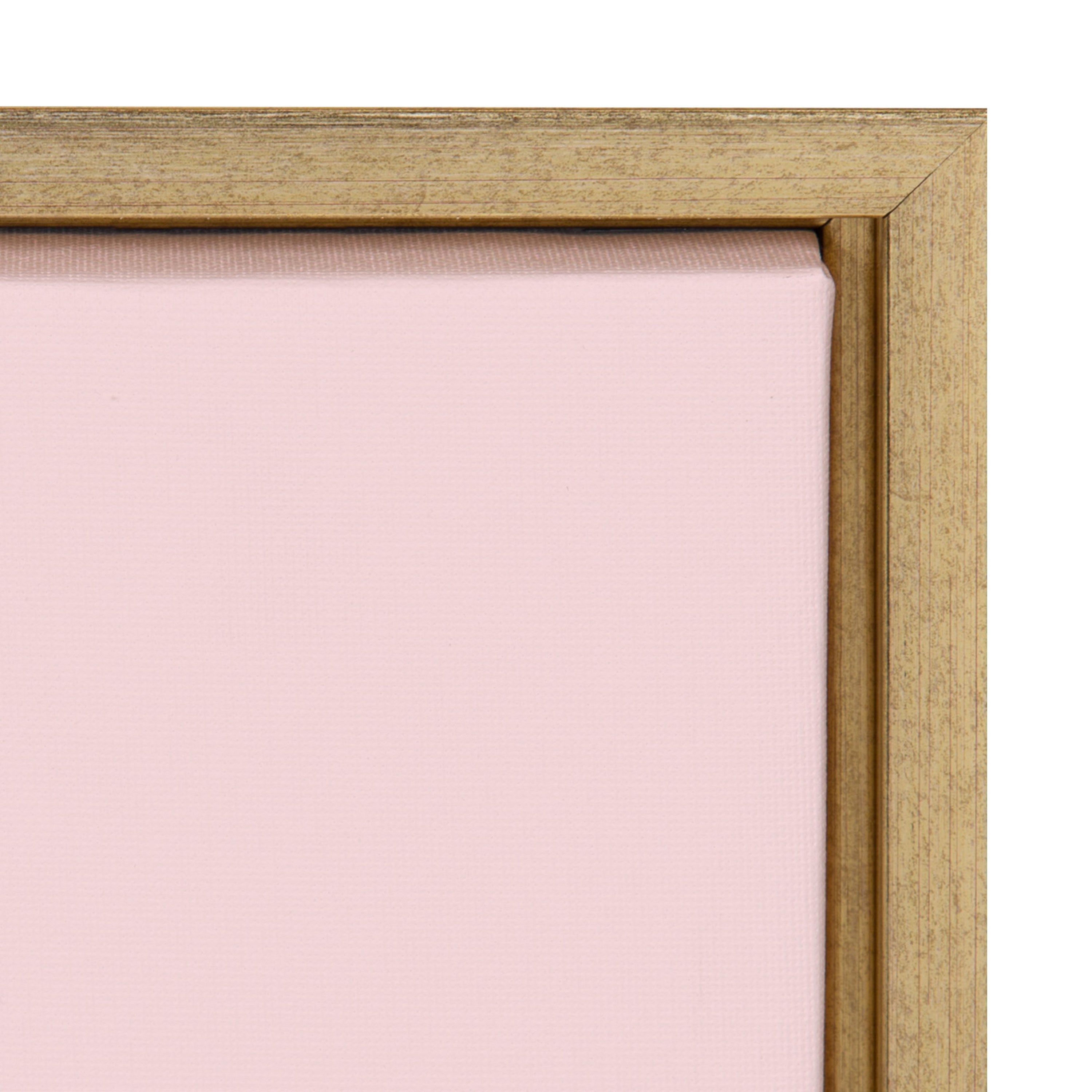 Sylvie Pink Zebra Framed Canvas by kateandlaurel - product image 3 for Resin Society