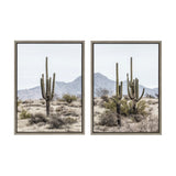 Sylvie Tall Saguaro Cacti Desert Mountain Framed Canvas Set by The by kateandlaurel - product image 7 for Resin Society
