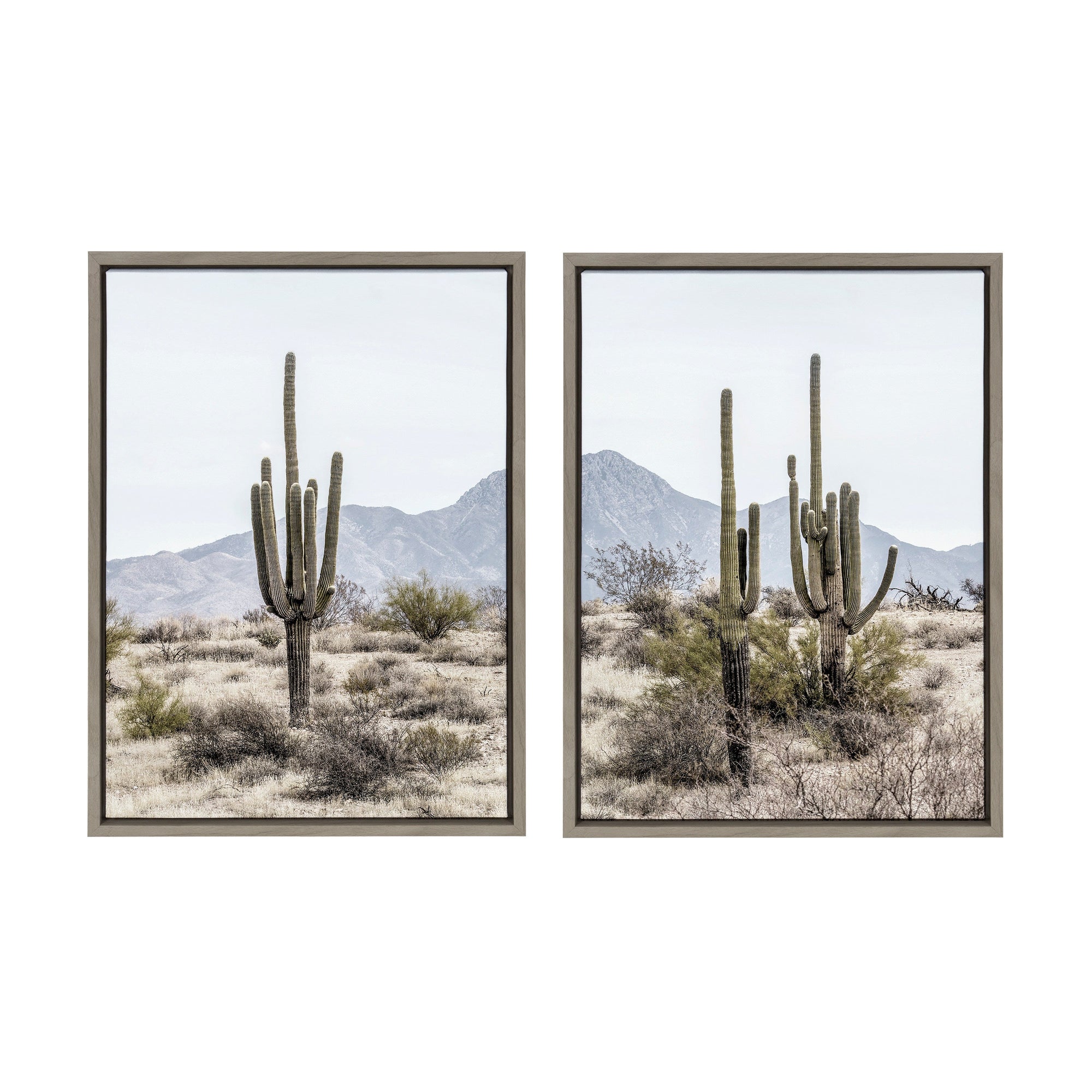Sylvie Tall Saguaro Cacti Desert Mountain Framed Canvas Set by The by kateandlaurel - product image 7 for Resin Society