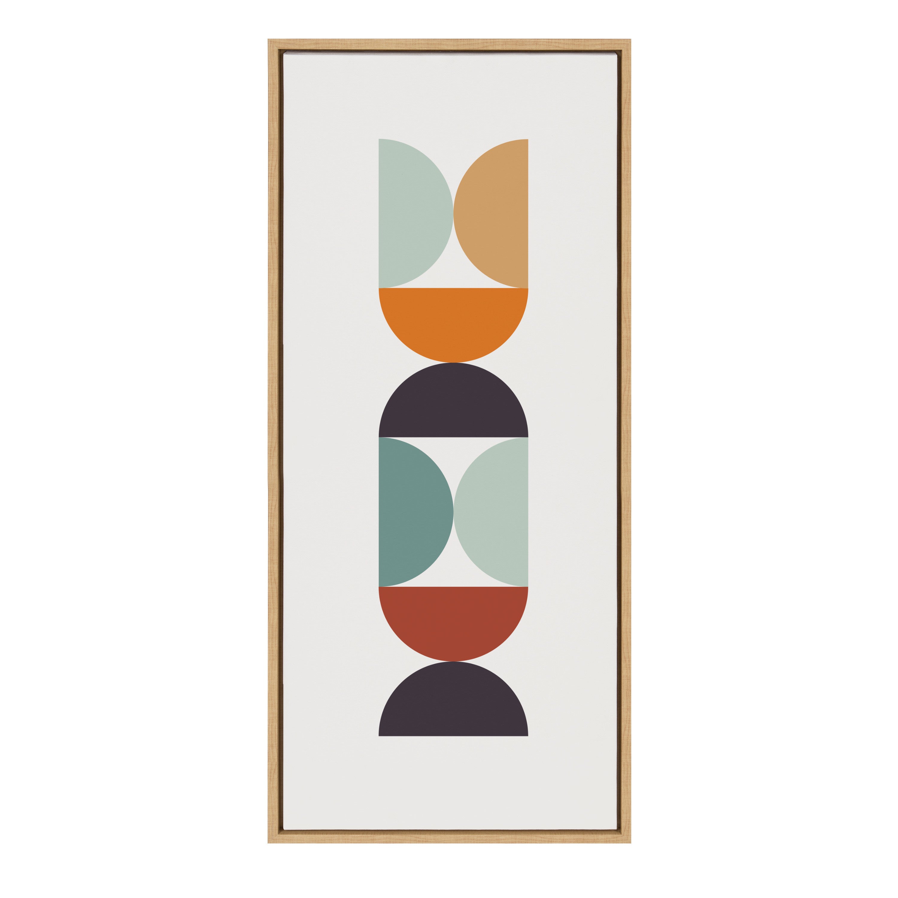 Sylvie Circles and Curves Retro Color Framed Canvas by kateandlaurel - product image 8 for Resin Society
