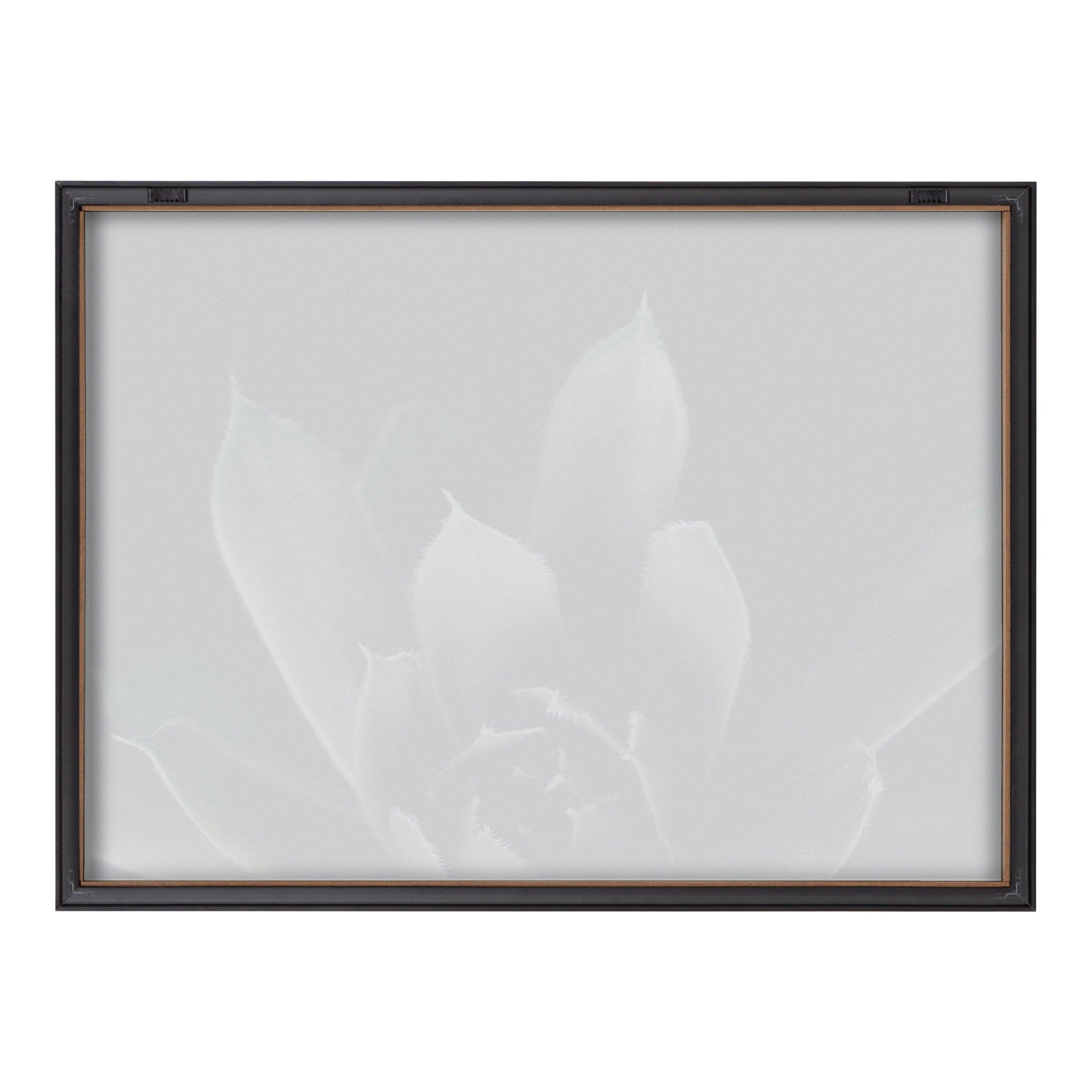 Blake Salutation Framed Printed Art by Emiko and Mark Franzen of F2Images