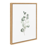Framed canvas artwork of a eucalyptus branch with soft green round leaves on a white background.