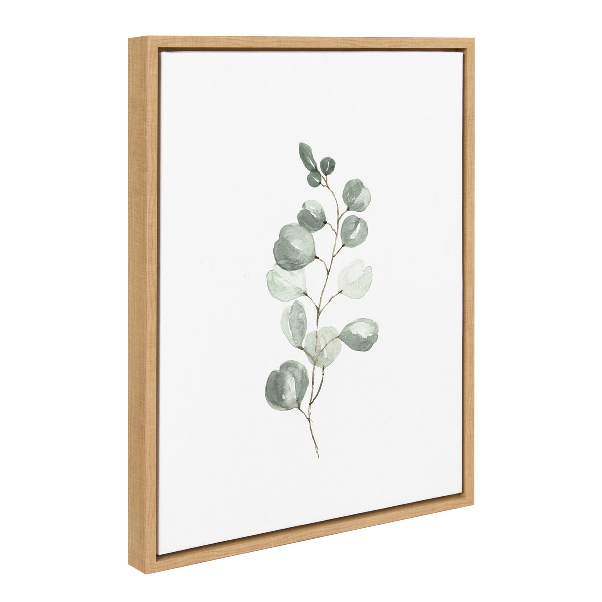 Framed canvas artwork of a eucalyptus branch with soft green round leaves on a white background.