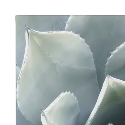 Soft Botanical Succulents by The Creative Bunch Studio by kateandlaurel - product image 3 for Resin Society