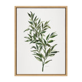 Sylvie Ruscus Framed Canvas by kateandlaurel - product image 2 for Resin Society
